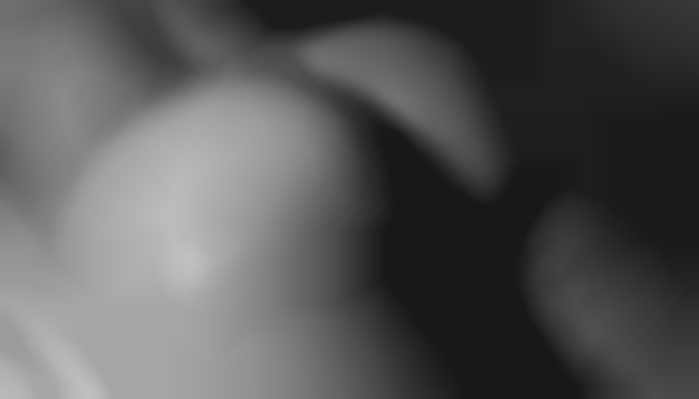 Deux grandes catégories de vidéos hot sur un site pornographique